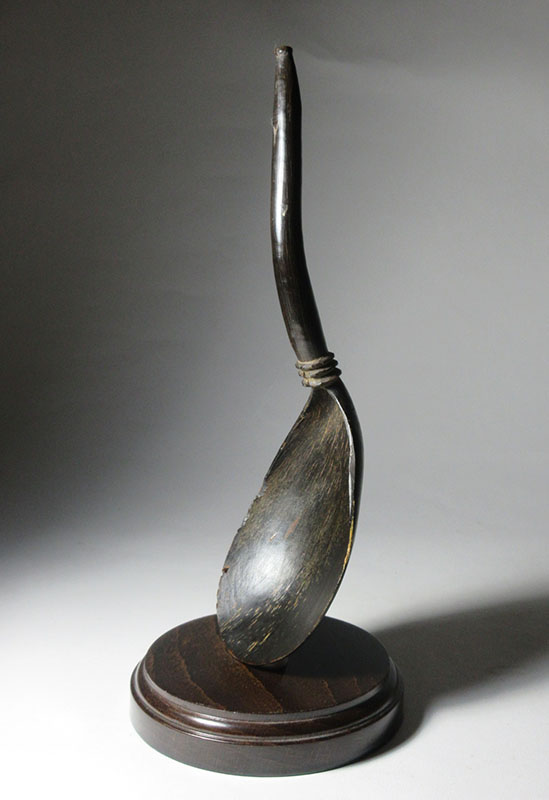 nwc spoon